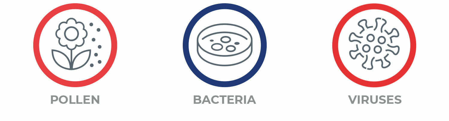 Pollen, Bacteria, Viruses