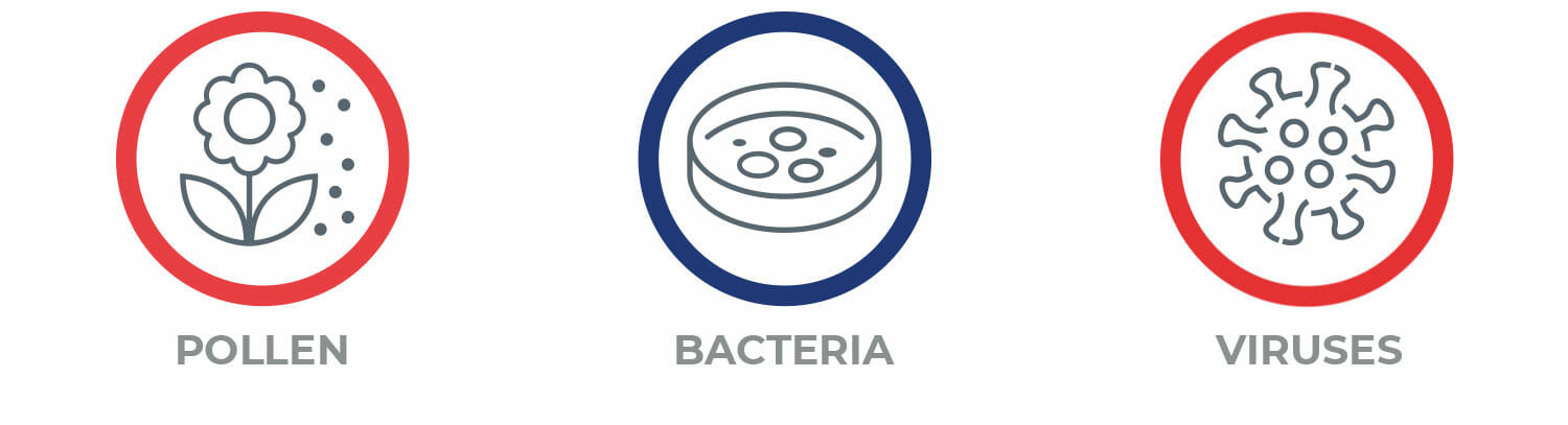 Filter Icons (Left) Pollen, Bacteria, Viruses