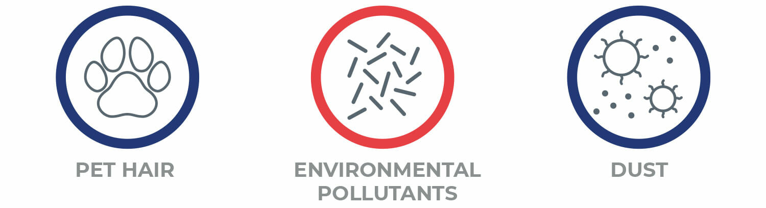 Filter Icons (Right) Pet Hair, Environmental Pollutants, Dust