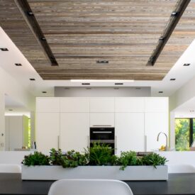 Kitchen Island with greenery in front showing Unico