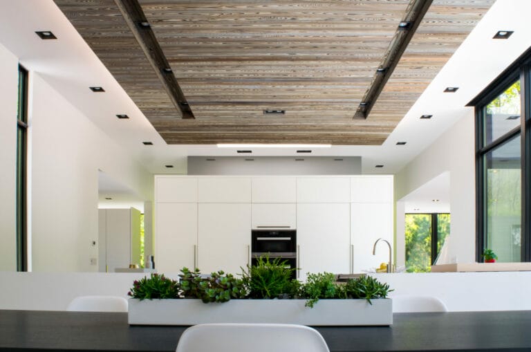 Kitchen Island with greenery in front showing Unico